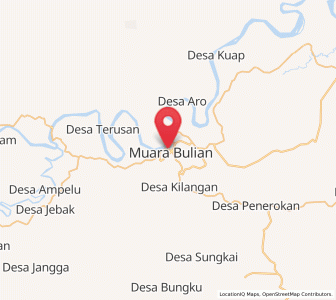 Peta Muara Bulian, Jambi