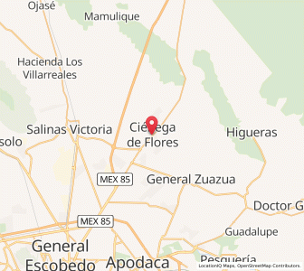 Map of Ciénega de Flores, Nuevo León