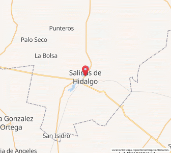 Map of Salinas de Hidalgo, San Luis Potosí
