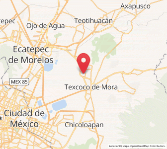 Map of Zapotlán, México
