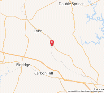 Map of Nauvoo, Alabama